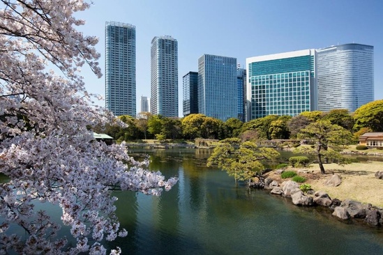The Strings By Intercontinental, Tokyo