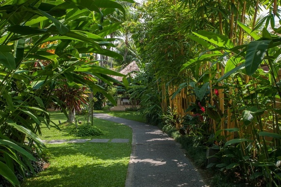 Komaneka At Bisma Ubud