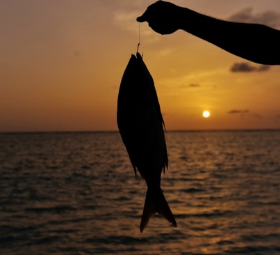 Summer Island Maldives