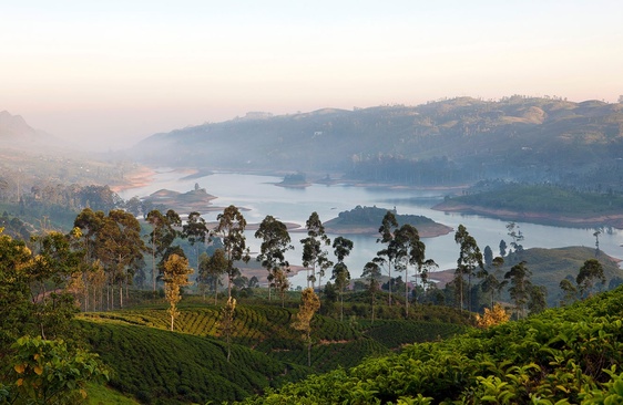 Ceylon Tea Trails