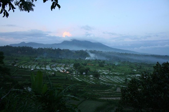 Puri Bagus Manggis