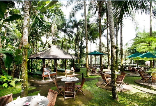 Mason Elephant Park & Lodge