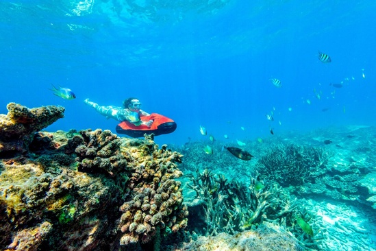 Sheraton Maldives Full Moon Resort & Spa