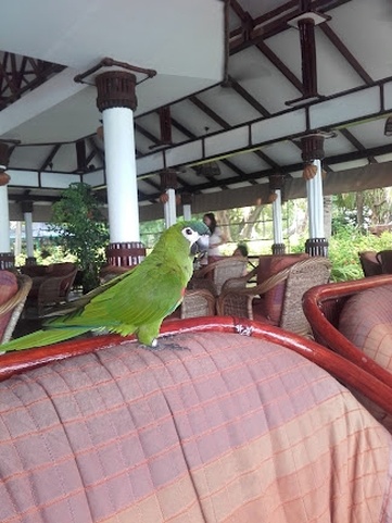 Velidhu Island Resort