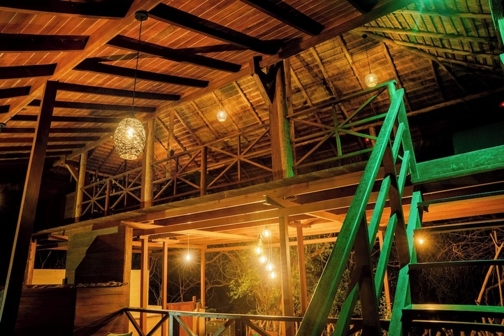 Leopard Nest In Yala