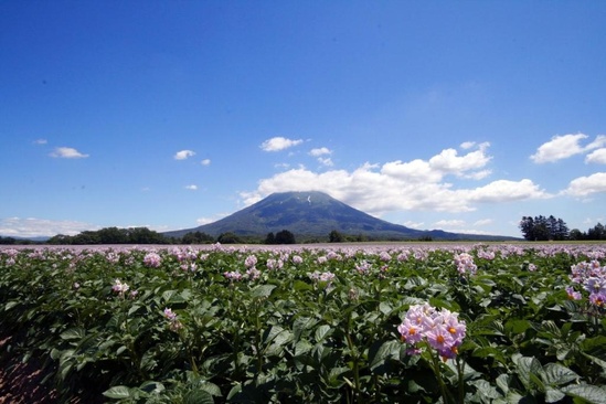 Niseko Northern Resort, An'nupuri