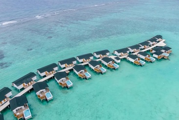 Joy Island