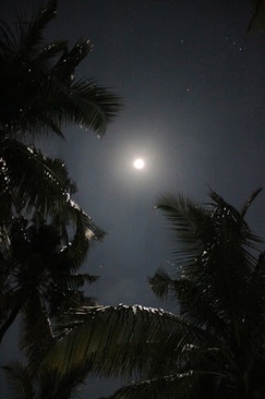 Velidhu Island Resort