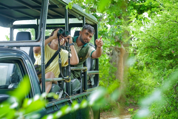 Leopard Nest In Yala