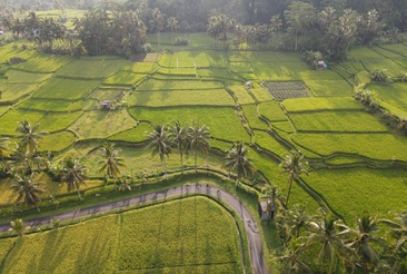 The Sun Heaven Ubud