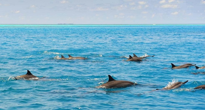 Naladhu Maldives