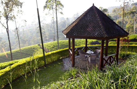 Ceylon Tea Trails