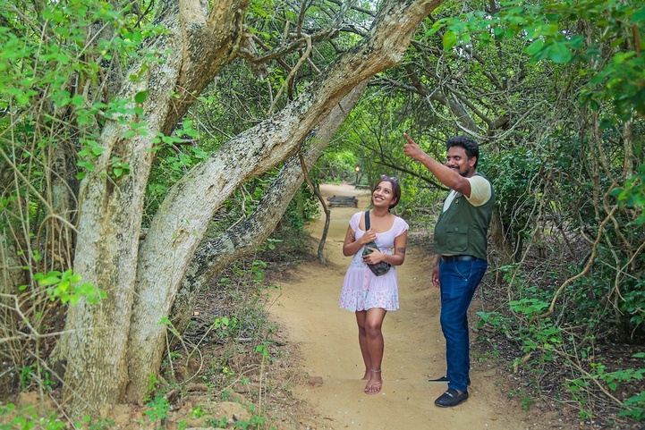 Leopard Nest In Yala