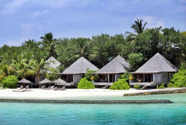 Gangehi Island Resort