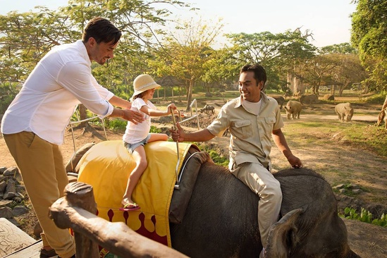 Mara River Safari Lodge Bali