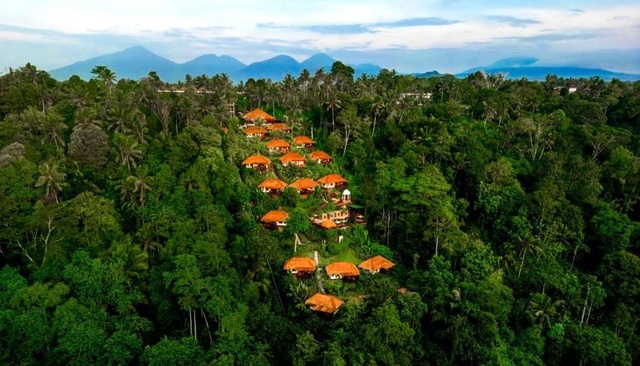 Nandini Jungle By Hanging Gardens