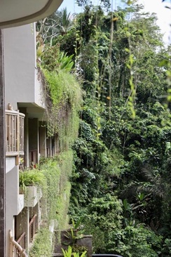 The Kenran Resort Ubud By Soscomma