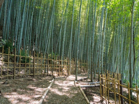 Banyan Tree Higashiyama Kyoto