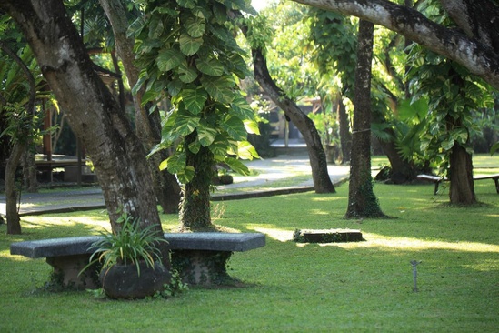 Matahari Bungalow