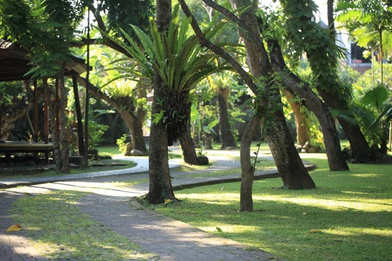 Matahari Bungalow