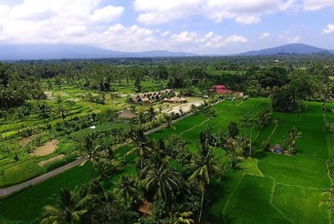 De Klumpu Bali Eco Tradi Home