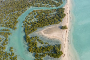 Anantara Sir Bani Yas Island Al Yamm Villa Resort