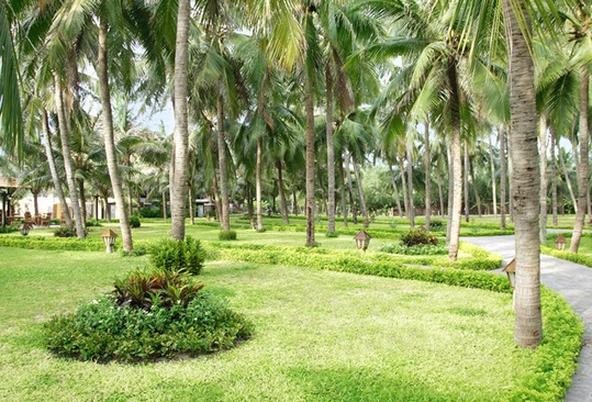 Sea Lion Beach Resort & Spa