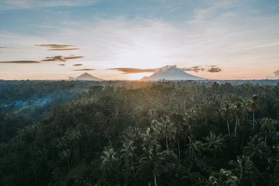 Buahan, A Banyan Tree Escape