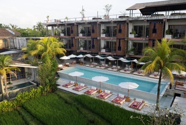 Shore Amora Canggu