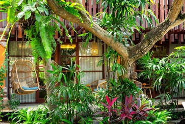 Adiwana Monkey Forest