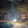 Leopard Nest In Yala