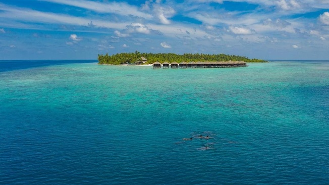 Filitheyo Island Resort
