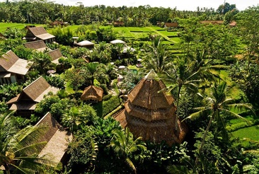 Blue Karma Nestling Ubud