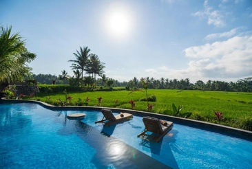 Beehouse Dijiwa Ubud