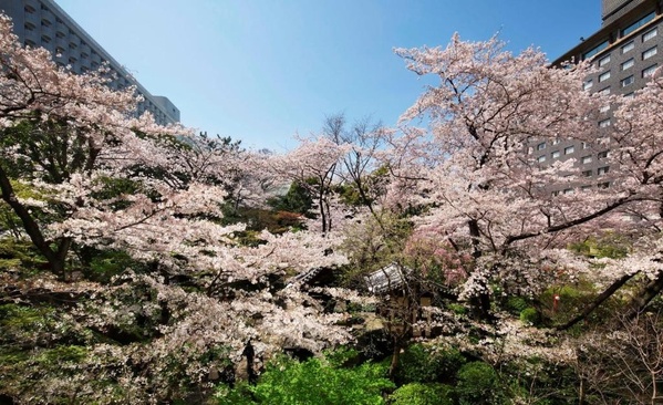 Grand Prince Hotel Takanawa