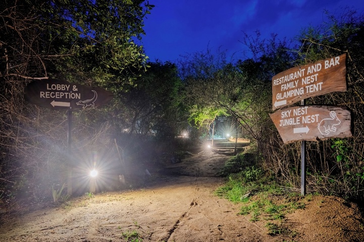 Leopard Nest In Yala