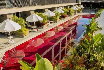 The X Belek