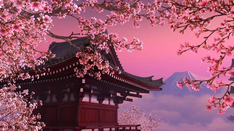 Когда цветет сакура в Японии в 2023 году