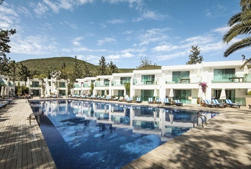 Voyage Torba