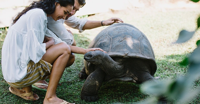 Raffles Seychelles