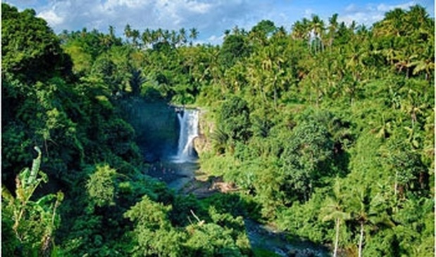 Alam Ubud Culture Villa And Residence