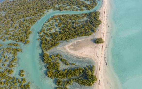 Anantara Sir Bani Yas Island Al Yamm Villa Resort