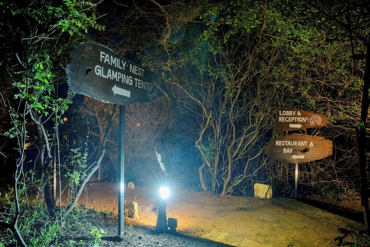 Leopard Nest In Yala