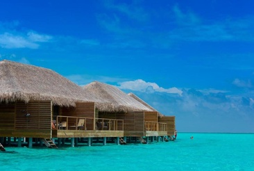 Cocoon Maldives