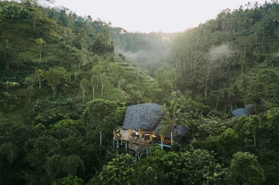 Buahan, A Banyan Tree Escape