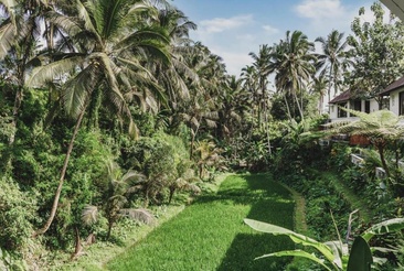 Dedary Resort Ubud