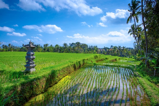 Ayung Resort Ubud