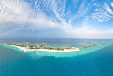 Joy Island