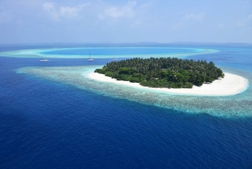 Malahini Kuda Bandos