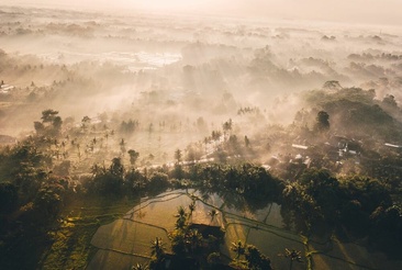 Tanah Gajah, A Resort By Hadiprana - Former The Chedi Club Ubud, Bali